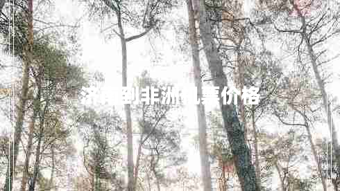 濟南到非洲機票價格