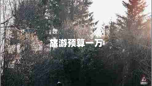 旅游預(yù)算一萬