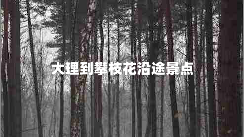 大理到攀枝花沿途景點
