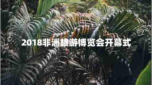 2018非洲旅游博覽會(huì)開幕式