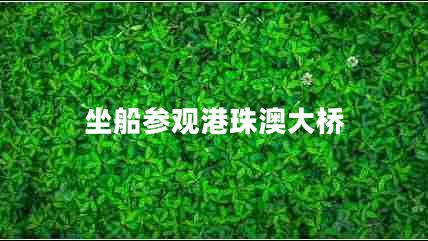坐船參觀(guān)港珠澳大橋