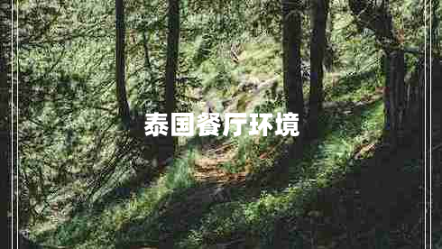 泰國(guó)餐廳環(huán)境
