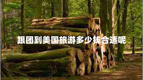 跟團(tuán)到美國旅游多少錢合適呢
