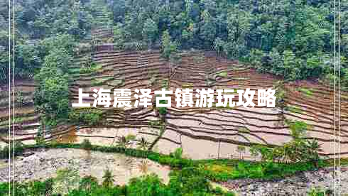 上海震澤古鎮游玩攻略