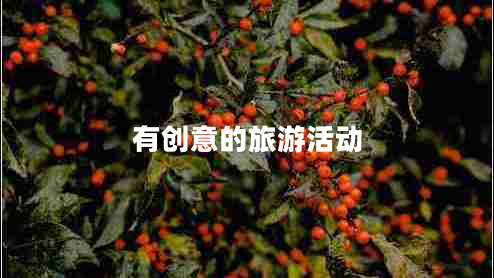 有創(chuàng)意的旅游活動(dòng)