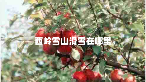 西嶺雪山滑雪在哪里