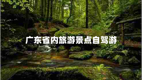 廣東省內旅游景點(diǎn)自駕游