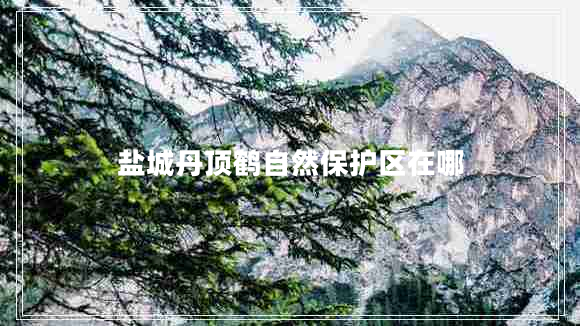 鹽城丹頂鶴自然保護(hù)區(qū)在哪