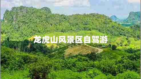 龍虎山風(fēng)景區自駕游