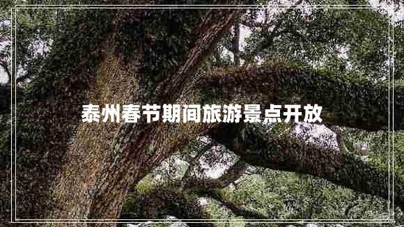 泰州春節期間旅游景點(diǎn)開(kāi)放