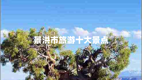 景洪市旅游十大景點