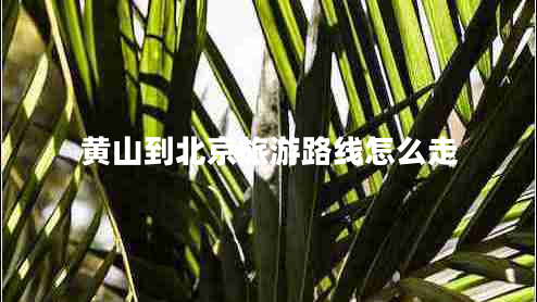 黃山到北京旅游路線(xiàn)怎么走