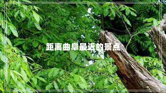 距離曲阜最近的景點