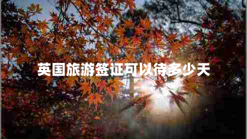 英國旅游簽證可以待多少天