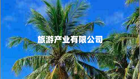 旅游產(chǎn)業(yè)有限公司