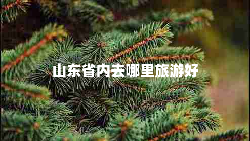 山東省內去哪里旅游好