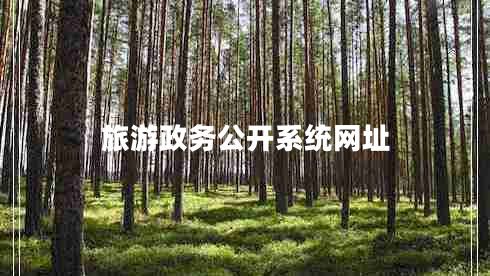 旅游政務(wù)公開(kāi)系統網(wǎng)址