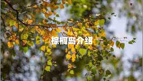 棕櫚島介紹