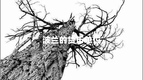 波蘭的貨幣單位
