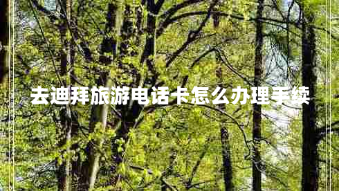 去迪拜旅游電話(huà)卡怎么辦理手續