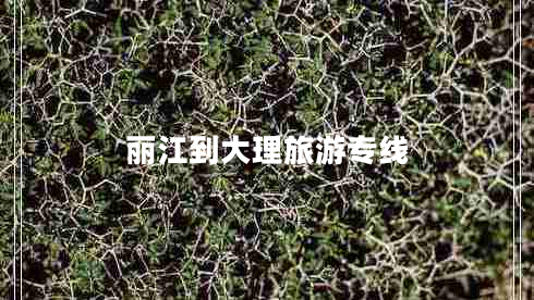 麗江到大理旅游專(zhuān)線(xiàn)