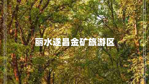 麗水遂昌金礦旅游區