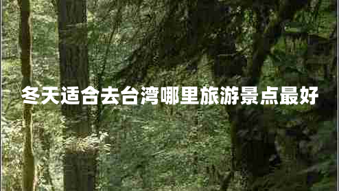 冬天適合去臺灣哪里旅游景點最好