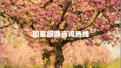 國(guó)家旅游咨詢熱線