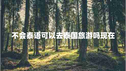 不會泰語可以去泰國旅游嗎現(xiàn)在