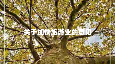 關(guān)于加快旅游業(yè)的意見(jiàn)