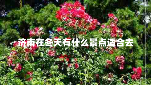 濟南在冬天有什么景點(diǎn)適合去