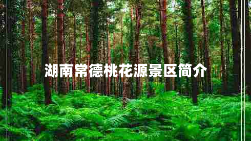 湖南常德桃花源景區簡(jiǎn)介