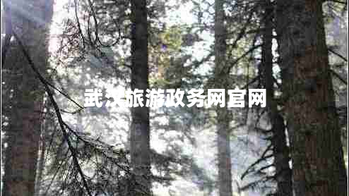 武漢旅游政務網(wǎng)官網(wǎng)