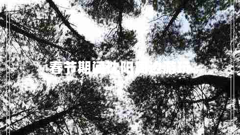 春節(jié)期間沈陽周邊游玩