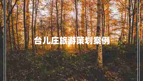臺(tái)兒莊旅游策劃案例