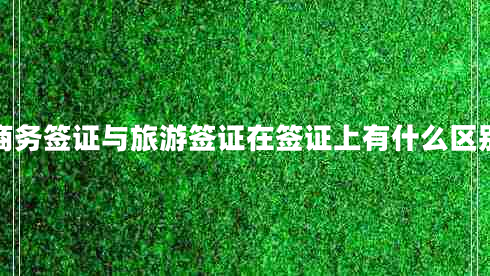商務(wù)簽證與旅游簽證在簽證上有什么區別