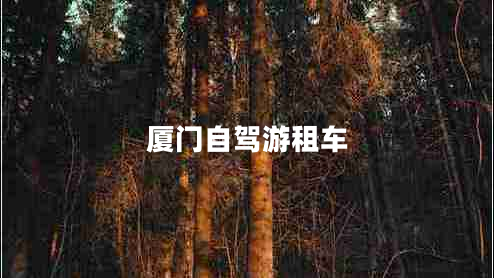 廈門(mén)自駕游租車(chē)