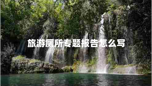 旅游廁所專(zhuān)題報告怎么寫(xiě)