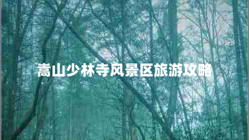 嵩山少林寺風(fēng)景區旅游攻略