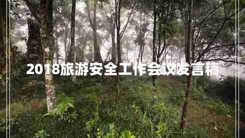 2018旅游安全工作會(huì )議發(fā)言稿