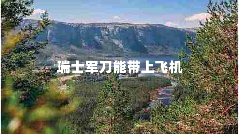 瑞士軍刀能帶上飛機