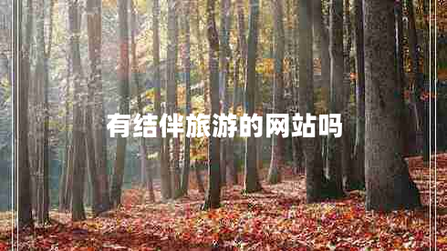 有結伴旅游的網(wǎng)站嗎