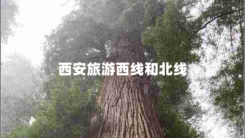 西安旅游西線(xiàn)和北線(xiàn)