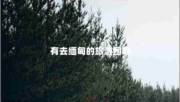 有去緬甸的旅游團嗎