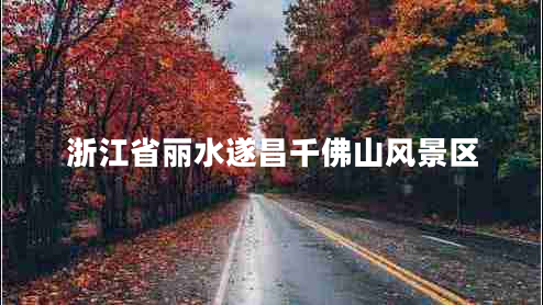 浙江省麗水遂昌千佛山風景區(qū)