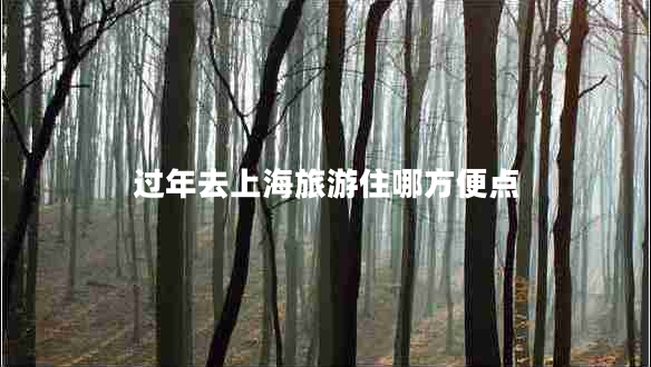 過年去上海旅游住哪方便點