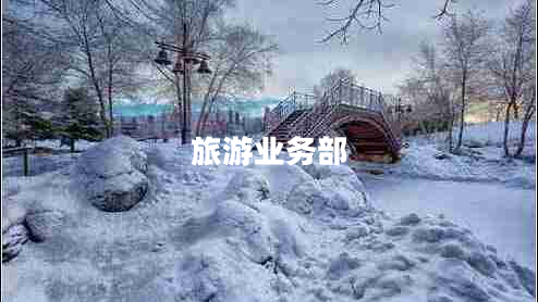 旅游業(yè)務(wù)部