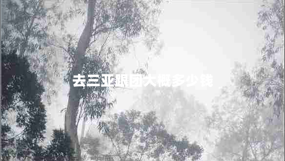 去三亞跟團(tuán)大概多少錢