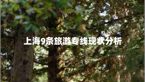 上海9條旅游專(zhuān)線(xiàn)現狀分析