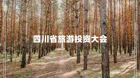 四川省旅游投資大會